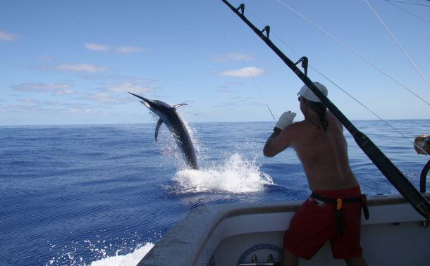 REPORT: Big blacks light up Classic